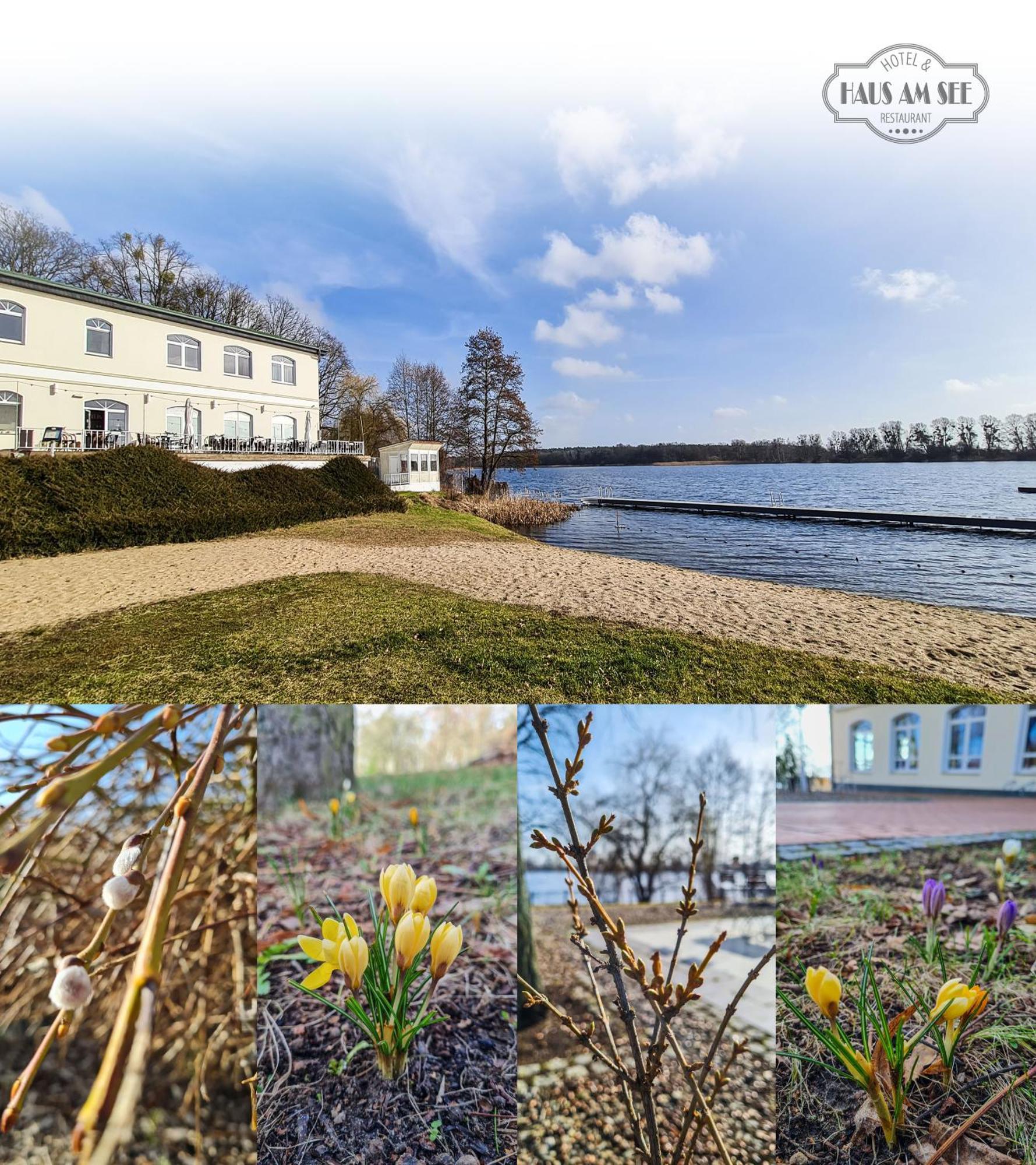 Hotel & Restaurant Haus Am See Locknitz 외부 사진