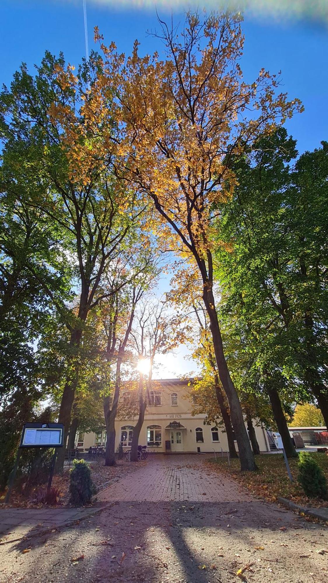 Hotel & Restaurant Haus Am See Locknitz 외부 사진