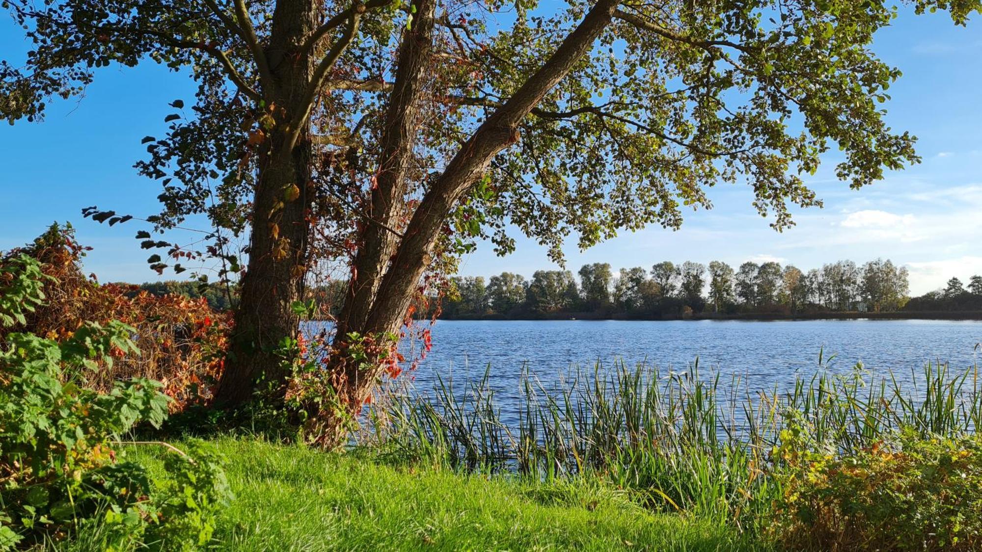 Hotel & Restaurant Haus Am See Locknitz 외부 사진